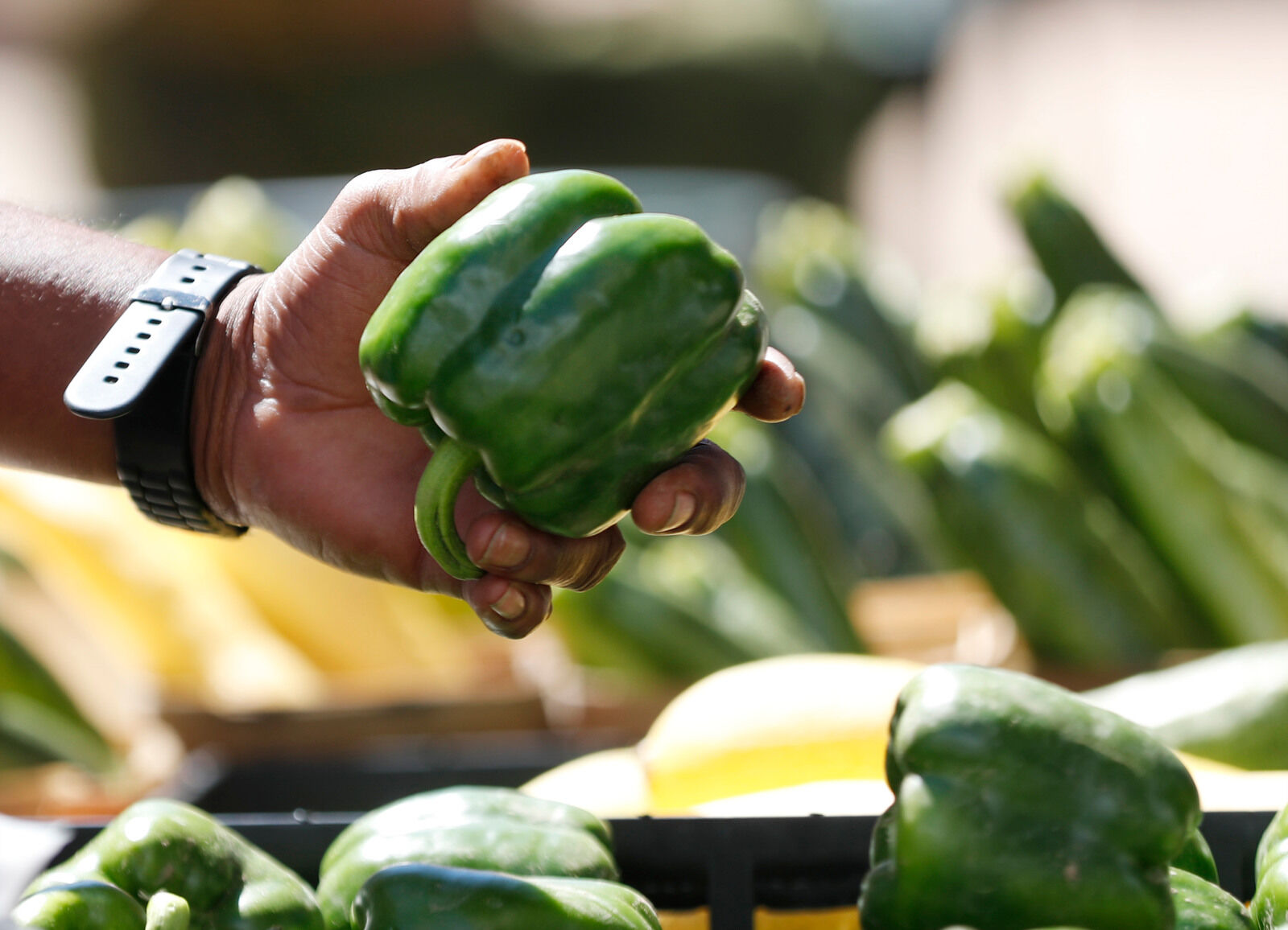 Choice harvest